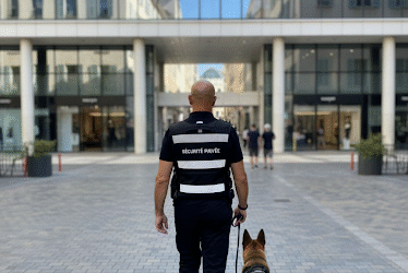Agent Cynophile Perpignan : Sécurité Nocturne Entrepôts et Sites Industriels