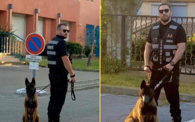 Pourquoi choisir un agent cynophile à Perpignan avec AMGS Occitanie ?